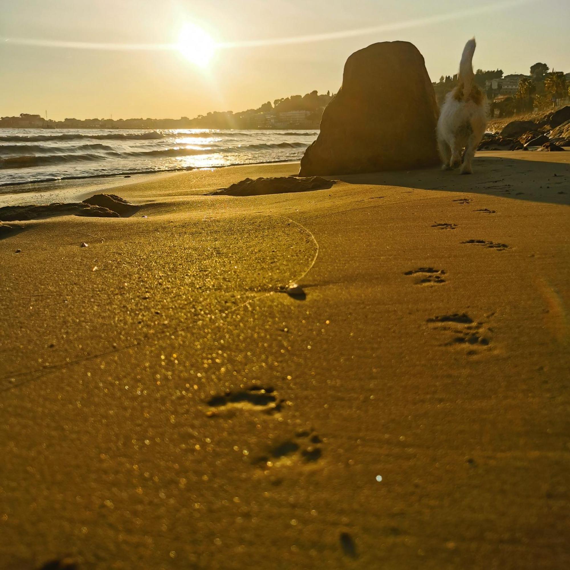 Belazur Entre Plage Et Port Bandol Exteriér fotografie