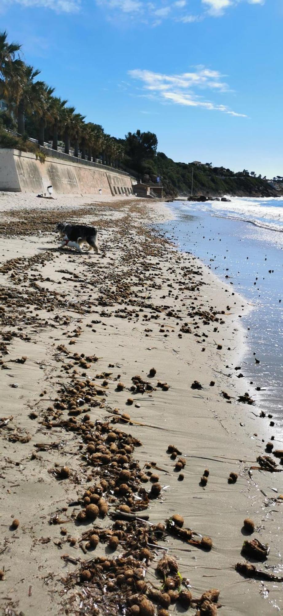 Belazur Entre Plage Et Port Bandol Exteriér fotografie